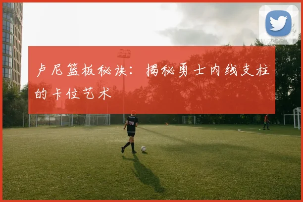 卢尼篮板秘诀：揭秘勇士内线支柱的卡位艺术