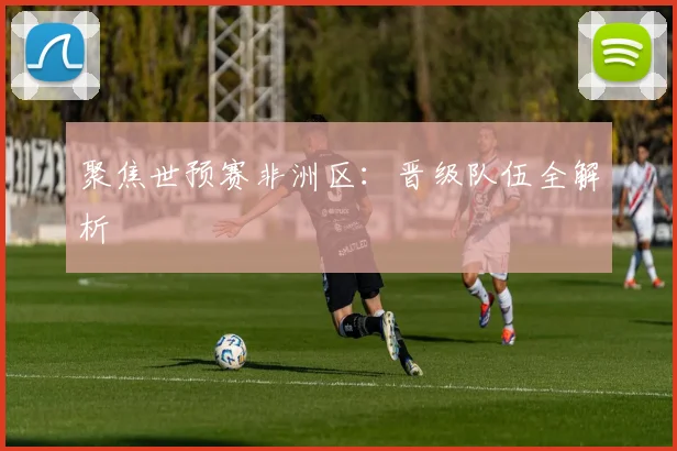 聚焦世预赛非洲区：晋级队伍全解析