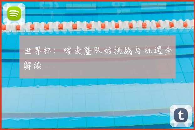 世界杯:喀麦隆队的挑战与机遇全解读