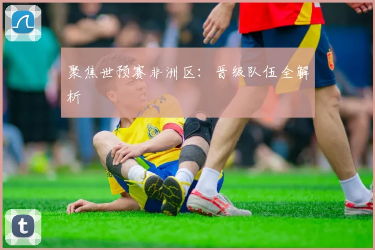 聚焦世预赛非洲区：晋级队伍全解析